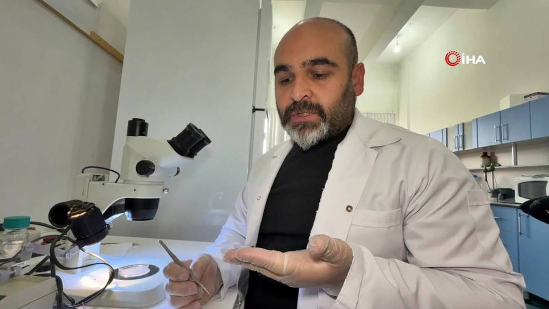 Bu mevsimde kamp yapanlar şimdi yandı: Sayısı hızla artıyor! Uzman isim uyardı, bunun şakası yok 9